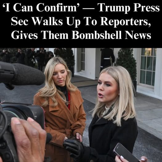 Leavitt Swats Down CNN Reporter Asking About Elon Musk
