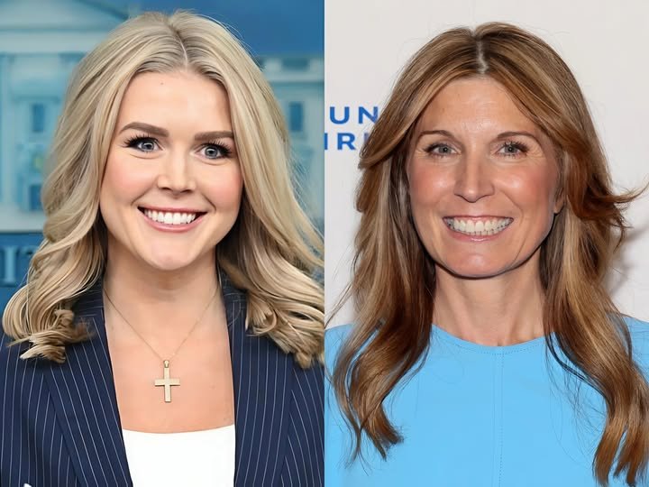 Fans are losing their minds after Karoline Leavitt reacted violently to veteran MSNBC host Nicolle Wallace, but when the reason was exposed, no one doubted it anymore.