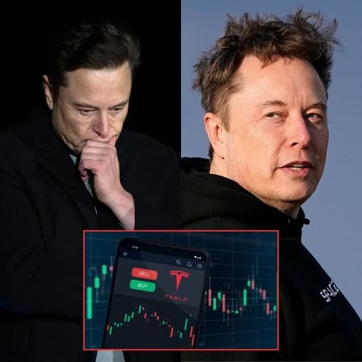 Tesla Stock Plunges, Erasing $460 Billion as Musk’s Political Gambit Sparks Investor Exodus
