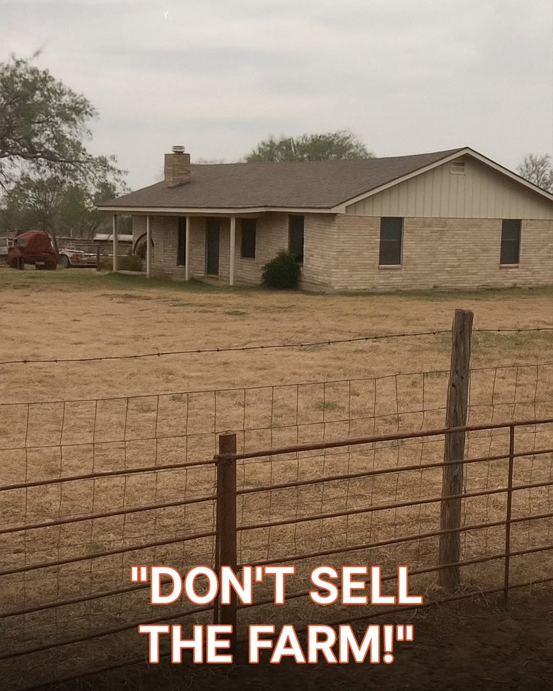 Grandma’s Will Left Me Nothing Until I Discovered Her Secret Plan