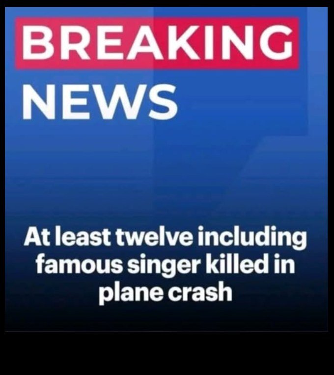 Twelve – including famous singer in plane crash off remote island