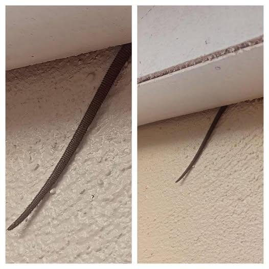 Online user finds creepy object hanging from ceiling