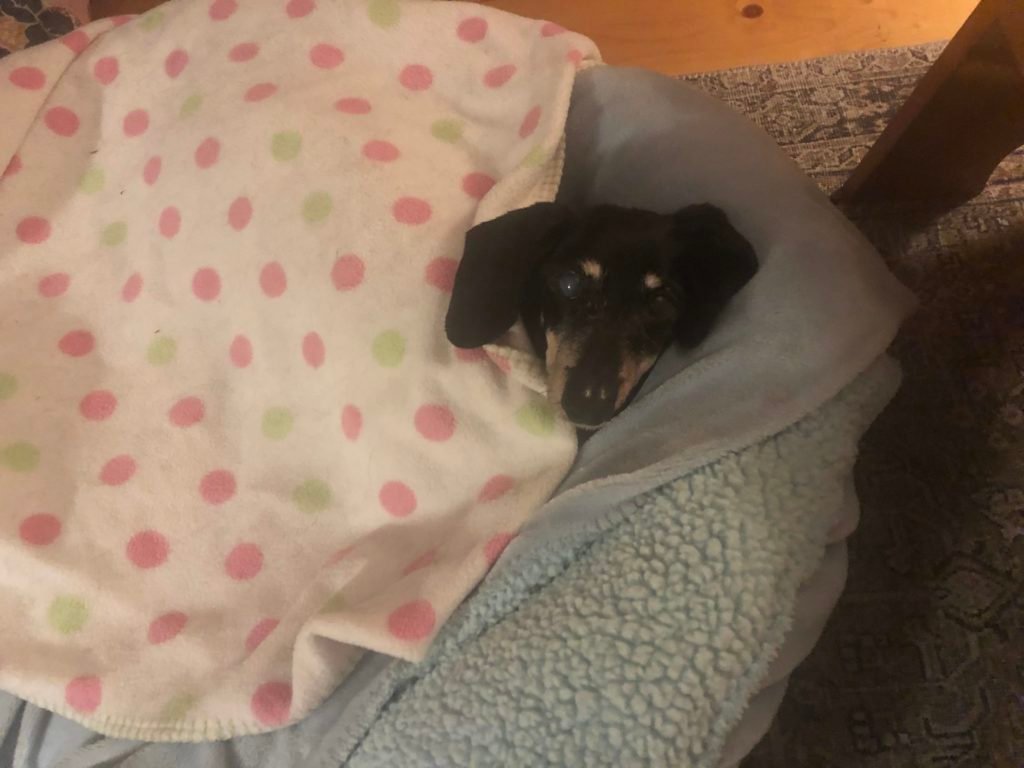 Sad Story: Living Under a Bridge, My Dog Was My Only Source of Warmth and Sanity